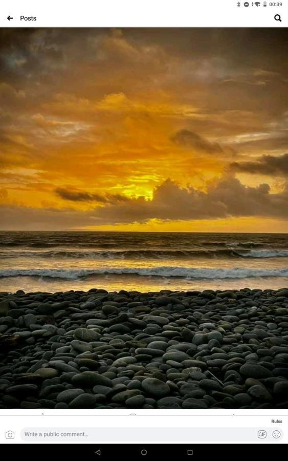 The Village Inn Bideford Bagian luar foto